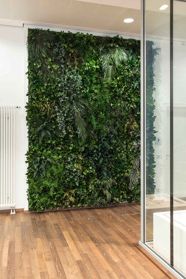 individual | greening jungle | Living / Green walls | styleGREEN