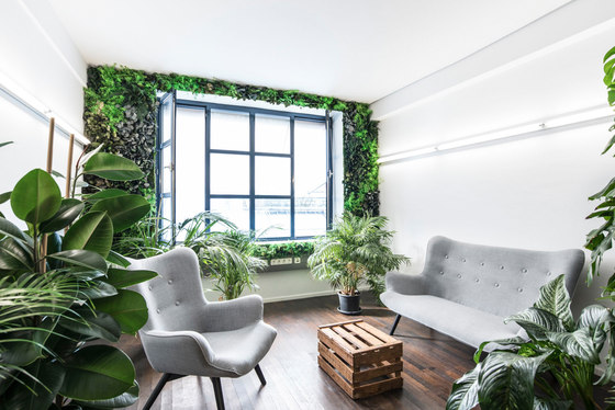 individual | greening jungle | Living / Green walls | styleGREEN