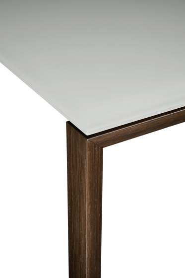 Apollo | Dining tables | Midj