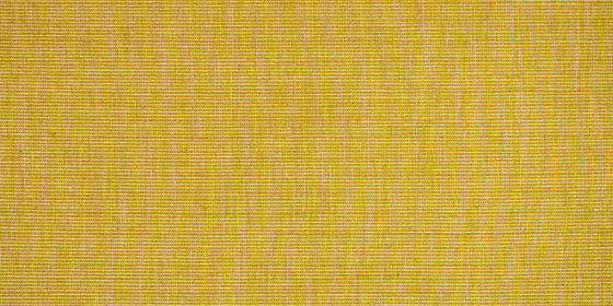 VASCO - 0706 | Tessuti decorative | Création Baumann