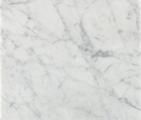 Bianco Carrara Levigato | Lastre pietra naturale | Salvatori