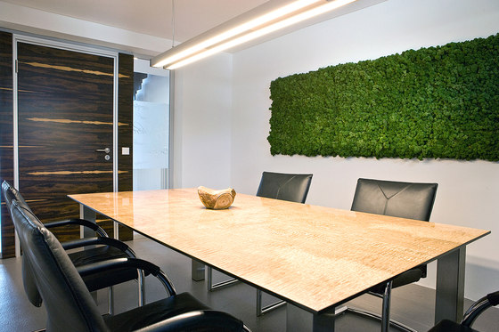 Evergreen Premium moss pictures | Sound absorbing objects | Freund