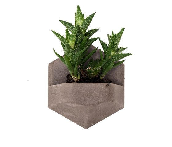 MonoPlanter | Concrete Light Grey | Vasi piante | Valence Design