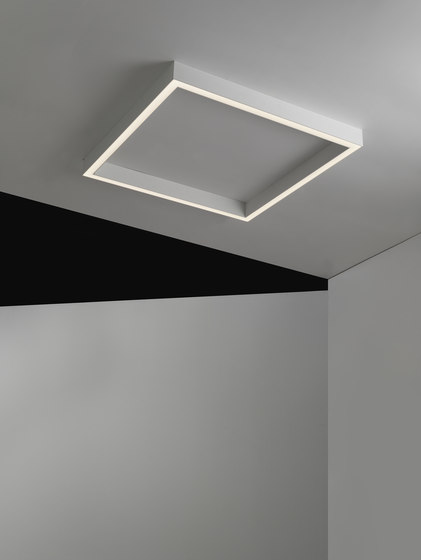Rail Quadra | Lámparas de techo | EGOLUCE