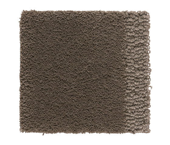 Classic | Icy Chocolate 705 | Rugs | Kasthall