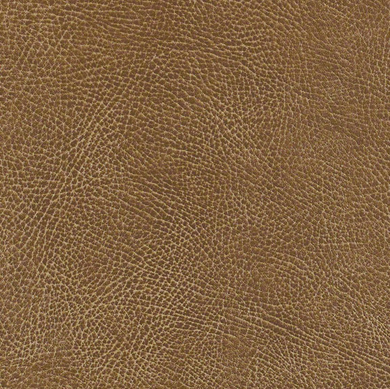 Mesa | Upholstery fabrics | CF Stinson
