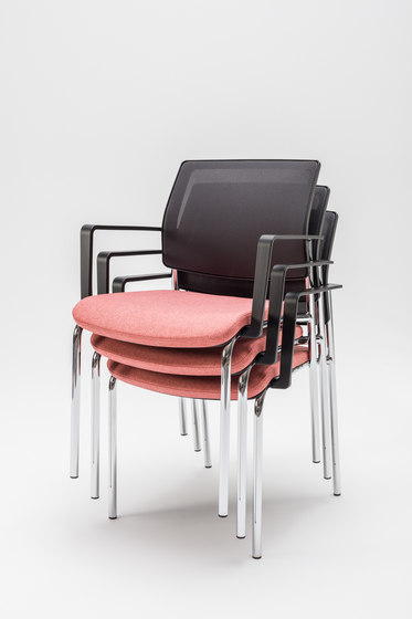 Gaya | Chairs | MDD