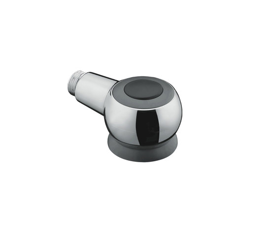 hansgrohe Pull-out spray for Allegroh kitchen mixer | Bathroom taps accessories | Hansgrohe