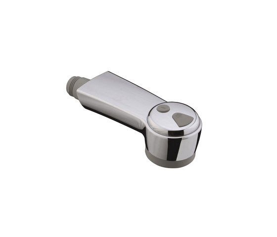hansgrohe Pull-out spray for Allegra Linea/ Allegra Metropol kitchen mixer | Bathroom taps accessories | Hansgrohe