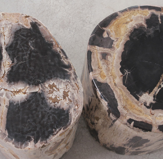 Dappled Petrified Wood Log Table | Tavolini alti | Pfeifer Studio