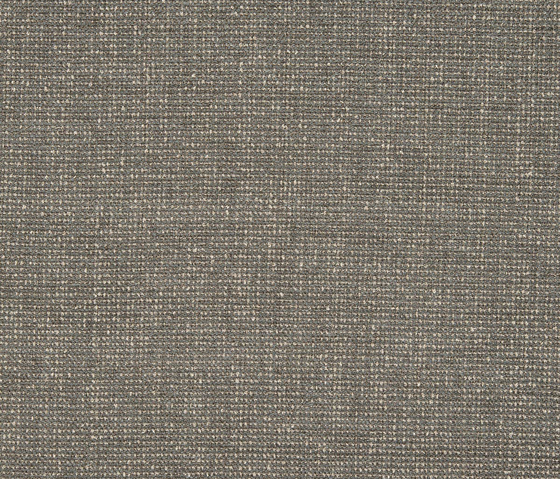 Zak 10667_13 | Upholstery fabrics | NOBILIS
