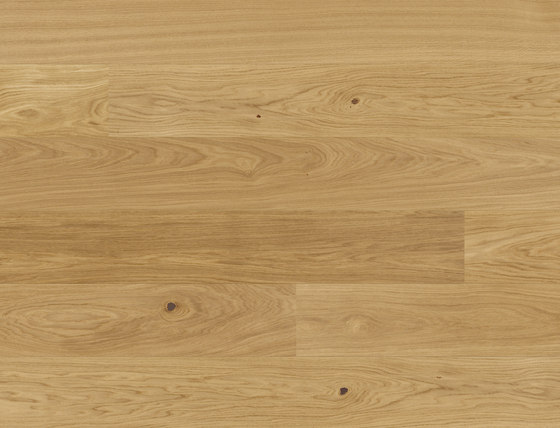 Casapark Oak 14 by Bauwerk Parkett | Wood flooring