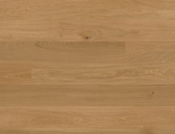 Studiopark Oak 14 | Wood flooring | Bauwerk Parkett