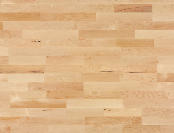 Multipark 10 Maple canadian 15 | Wood flooring | Bauwerk Parkett