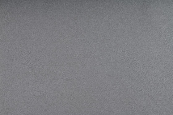 VALENCIA™ SILVER | Upholstery fabrics | SPRADLING