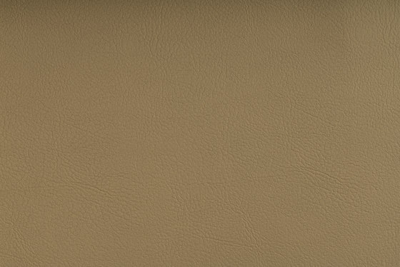 VALENCIA™ C5 GOLD | Upholstery fabrics | SPRADLING