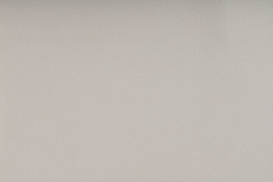 VALENCIA™ C5 PEARLESSENCE | Upholstery fabrics | SPRADLING