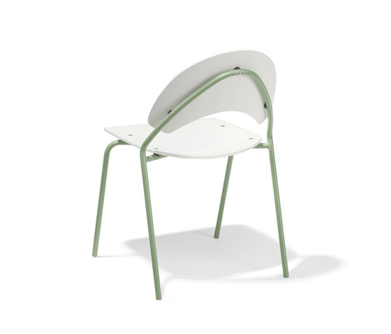 Frog chair | Sedie | Richard Lampert