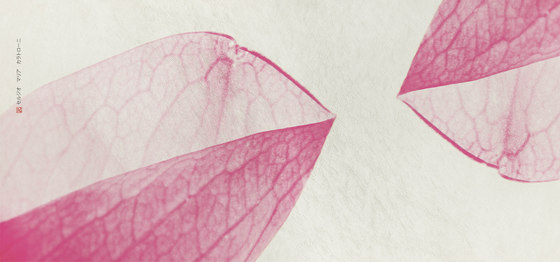 petals | rosa | Wandbilder / Kunst | N.O.W. Edizioni
