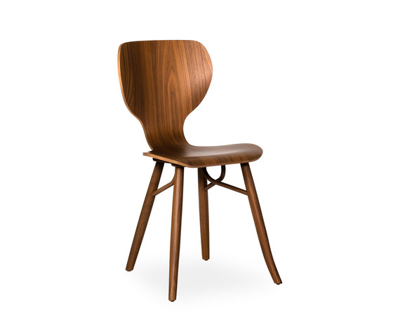 Tulipani | Chairs | Linteloo