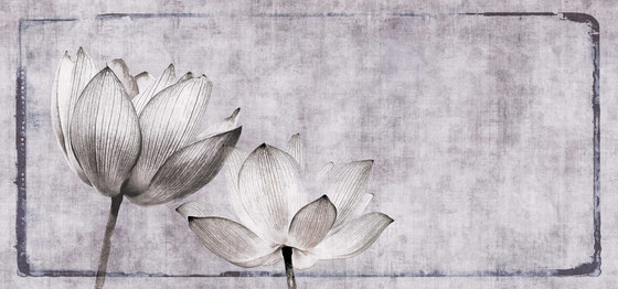 canvas | lotus | Peintures murales / art | N.O.W. Edizioni
