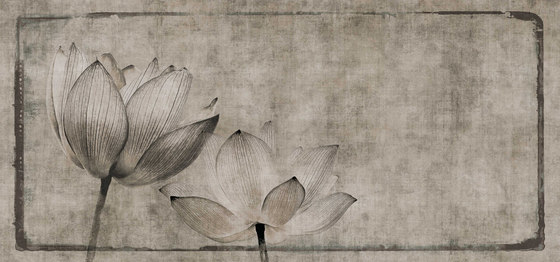 canvas | lotus | Wall art / Murals | N.O.W. Edizioni