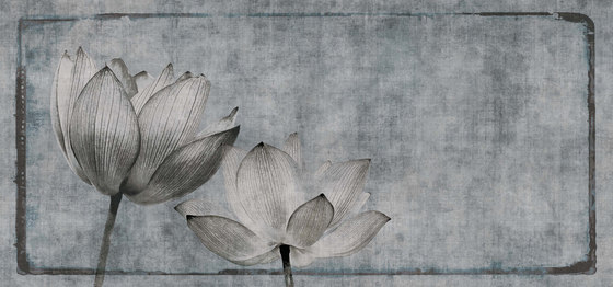 canvas | lotus | Peintures murales / art | N.O.W. Edizioni