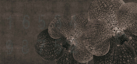concrete | orchid | Wall art / Murals | N.O.W. Edizioni