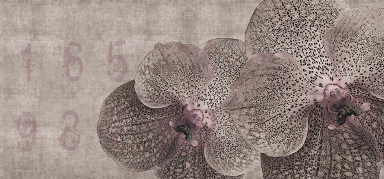 concrete | orchid | Peintures murales / art | N.O.W. Edizioni