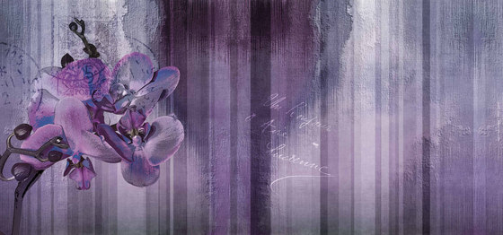 wallpaint | orchid | Wall art / Murals | N.O.W. Edizioni