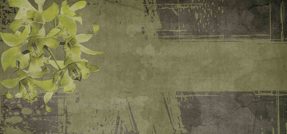 canvas | evergreen | Wandbilder / Kunst | N.O.W. Edizioni