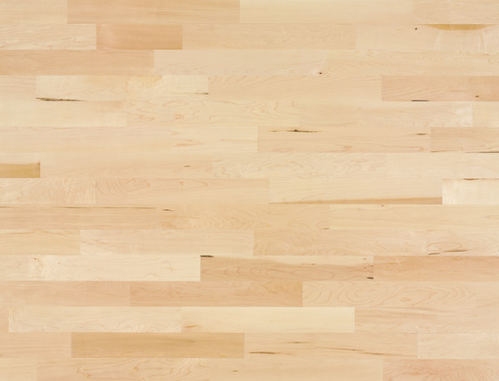 Monopark Acero canadese Crema 15 | Pavimenti legno | Bauwerk Parkett