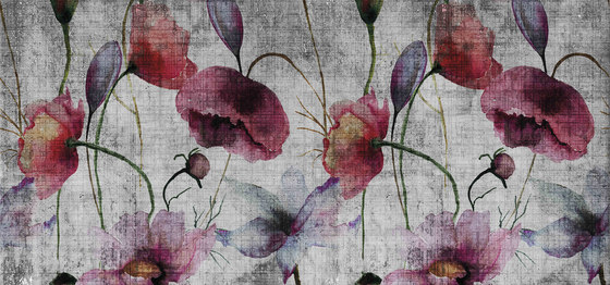 watercolor | poppies | Wall art / Murals | N.O.W. Edizioni