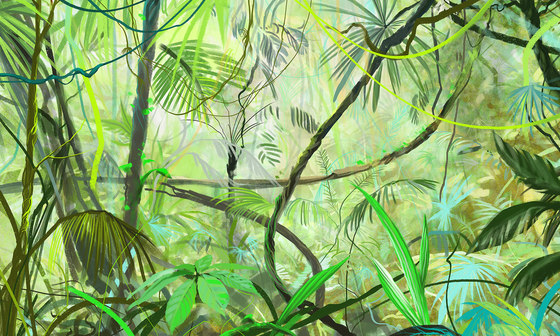 Jungle* | Revêtements muraux / papiers peint | WallPepper/ Group