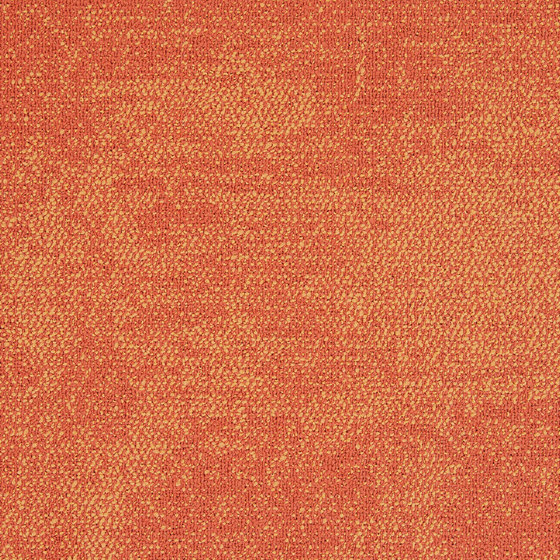 Composure 4169072 Amber | Carpet tiles | Interface
