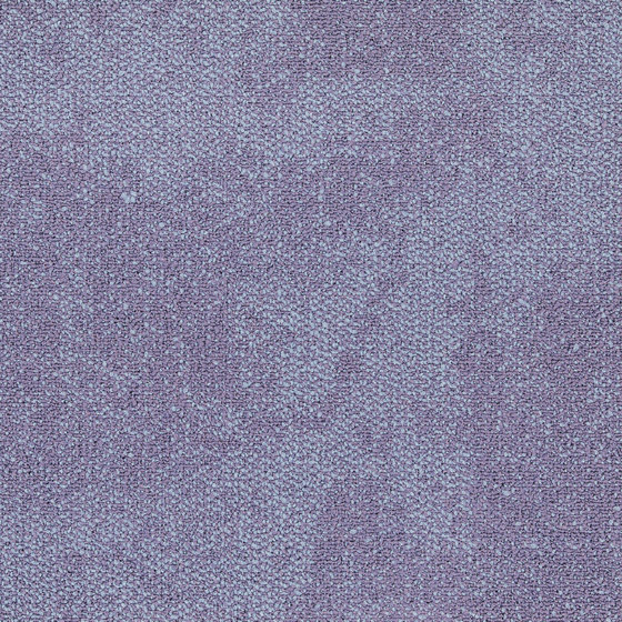 Composure Lavender | Quadrotte moquette | Interface