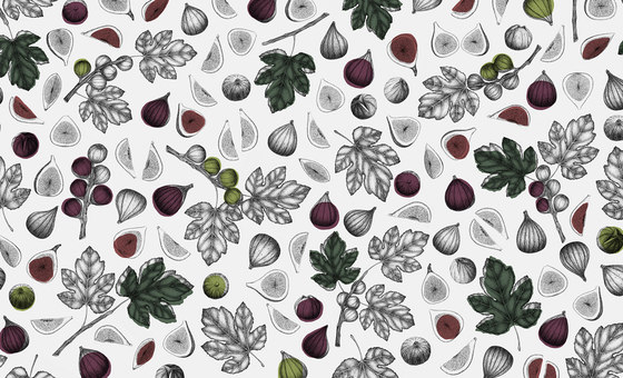 Ficus Carica | Wall coverings / wallpapers | WallPepper/ Group