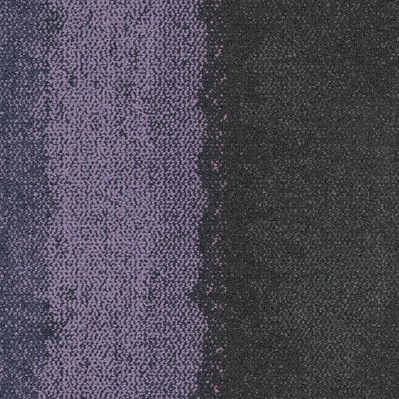 Composure Edge Aubergine/Solitude | Carpet tiles | Interface