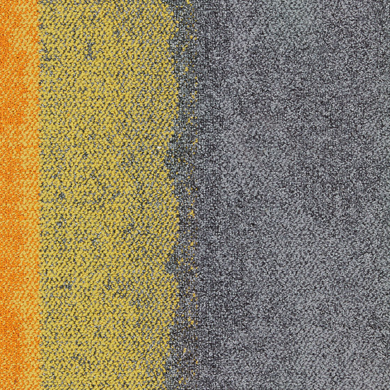 Composure Edge Sunburst/Seclusion | Carpet tiles | Interface