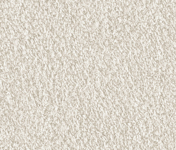 Teddy 1001 Snow | Wall-to-wall carpets | OBJECT CARPET