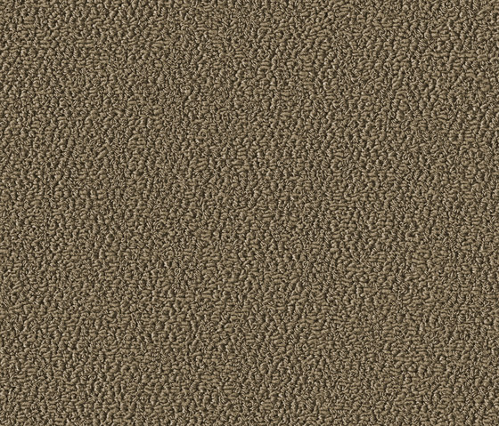 Allure 1002 Sandy | Wall-to-wall carpets | OBJECT CARPET