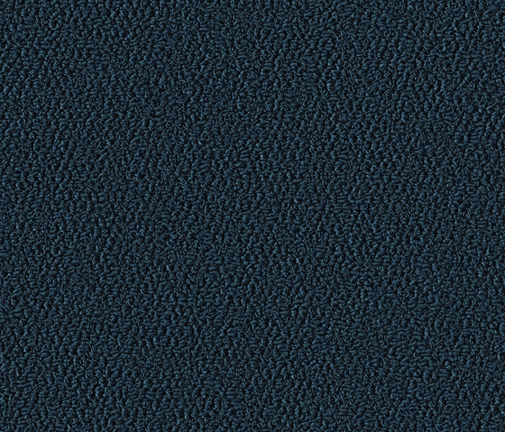 Allure 1011 Blueberry | Wall-to-wall carpets | OBJECT CARPET