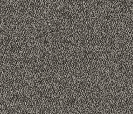 Allure 1013 Silver | Wall-to-wall carpets | OBJECT CARPET