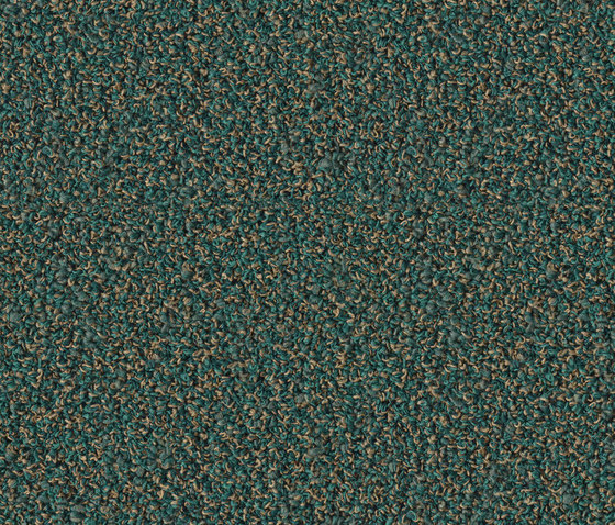 Fine 0807 Lizzard | Wall-to-wall carpets | OBJECT CARPET