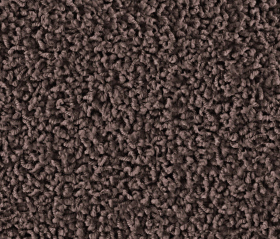 Frizzle 1401 Gobi | Wall-to-wall carpets | OBJECT CARPET