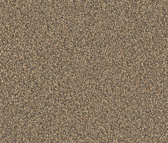 Gracce 1101 Sand | Alfombras / Alfombras de diseño | OBJECT CARPET