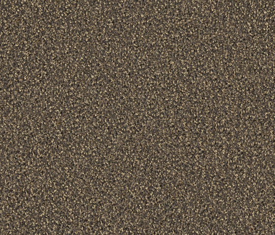 Gracce 1101 Sand | Rugs | OBJECT CARPET