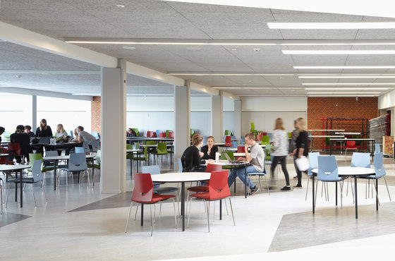 Troldtekt | Applications | Roskilde Cathedral school | Acoustic ceiling systems | Troldtekt