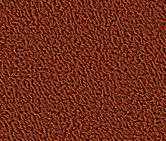 Sheen 1201 Goldeneye | Wall-to-wall carpets | OBJECT CARPET