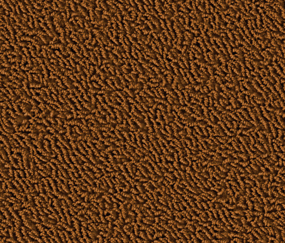 Sheen 1201 Goldeneye | Teppichböden | OBJECT CARPET